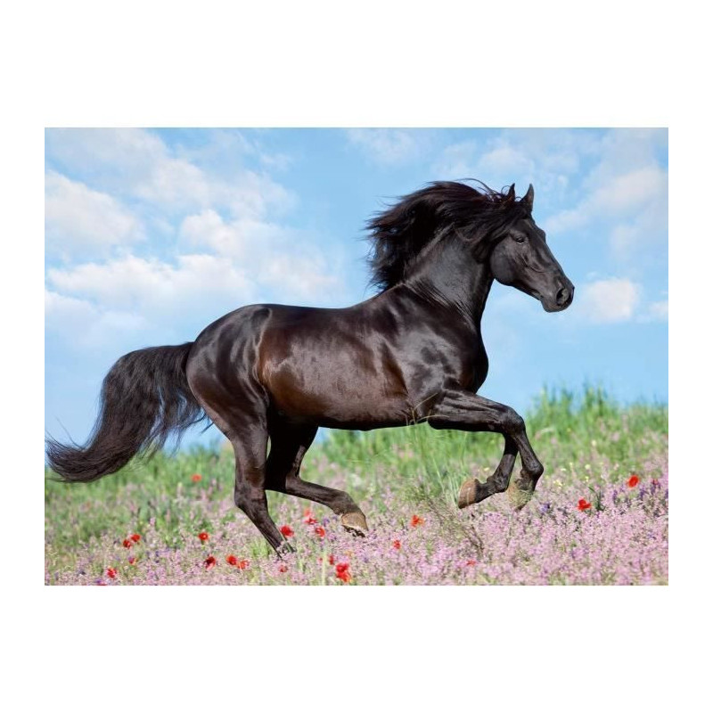 200 piece XXL Black stallion puzzle - Child - Landscape and nature - A