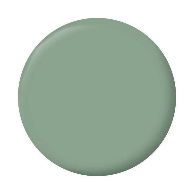 Simsun green velvet wall and radiator decoration - RIPOLIN - 2.5 L