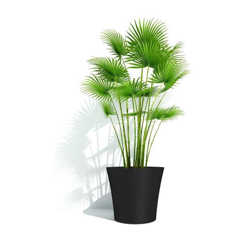 Flowerpot - GARDEN ID - Green Care Sense Black-Anthracite - 30 x 27 cm