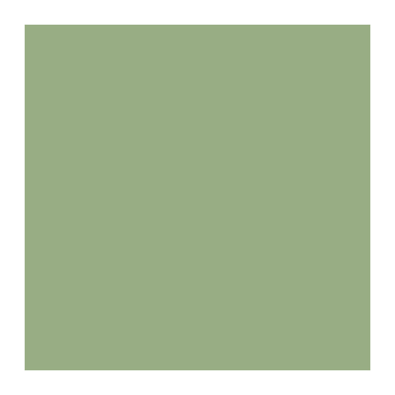 RIPOLIN Paint for Interior & Exterior Wood - Olive Green Ral 6021 Sati