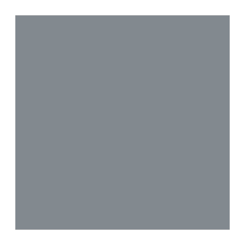 RIPOLIN Interior & Exterior Floor Paint - Loft Gray Ral 7046 Satin, 2,