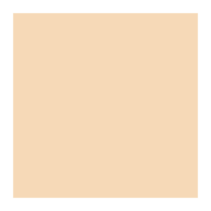RIPOLIN EXTREME PROTECTION FACADE STONE TONE Matte 10 L