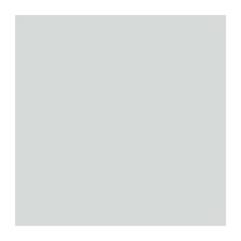 RIPOLIN All Pieces Wall Paint - Satin Mouse Gray, 2.5L