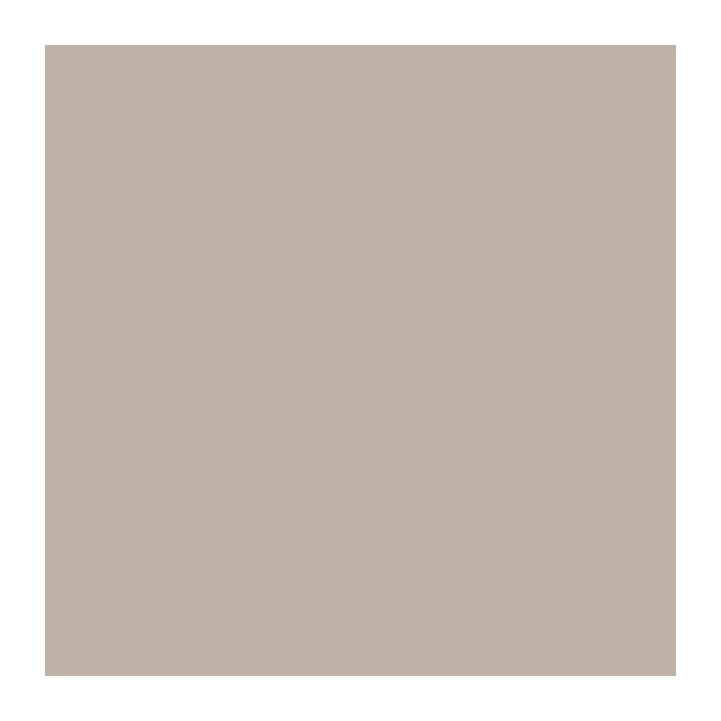 RIPOLIN All Pieces Wall Paint - Sichuan Satin Pepper, 2.5L