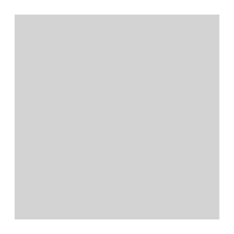 RIPOLIN Wall paint all parts, Ripolin - Gray lome Satin, 2,5L