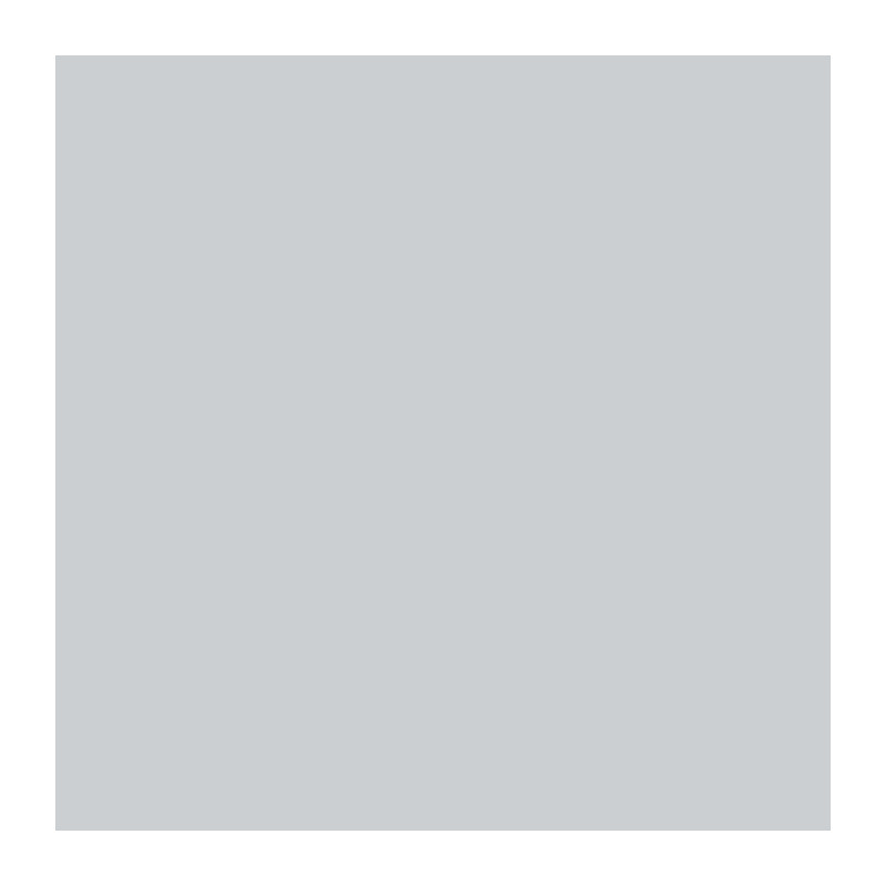 RIPOLIN All pieces wall paint, Ripolin - Gray Satin Telescope, 2.5L