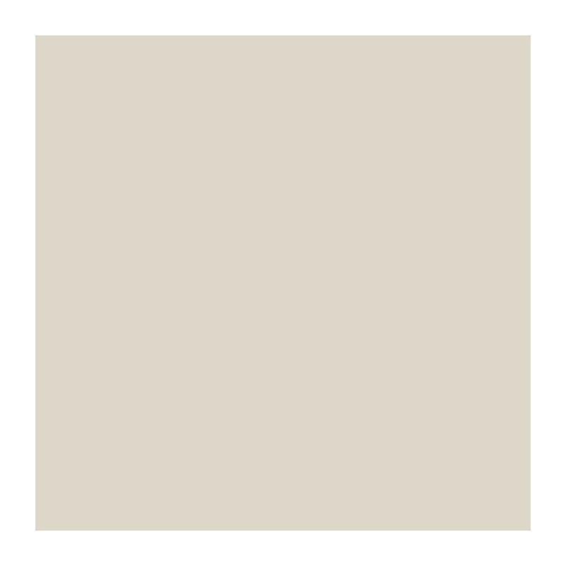 RIPOLIN All pieces wall paint, Ripolin - Matt beige, 2.5L