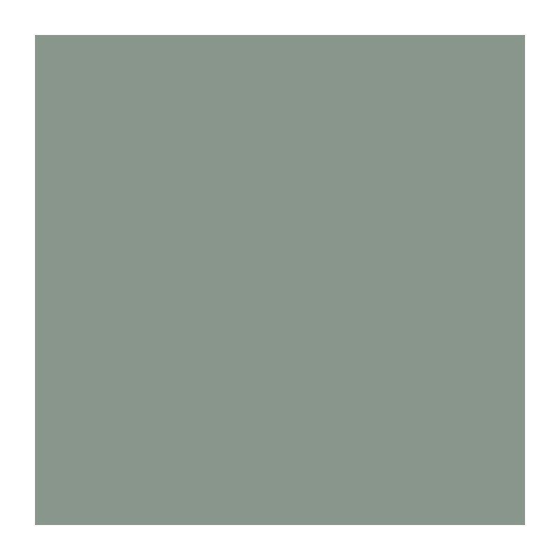Interior wall decoration paint - Matt noble green - RIPOLIN - 2.5 L