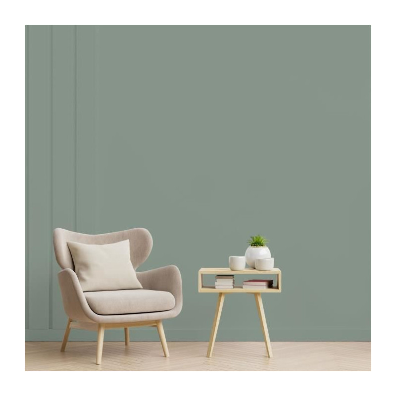 Interior wall decoration paint - Matt noble green - RIPOLIN - 2.5 L
