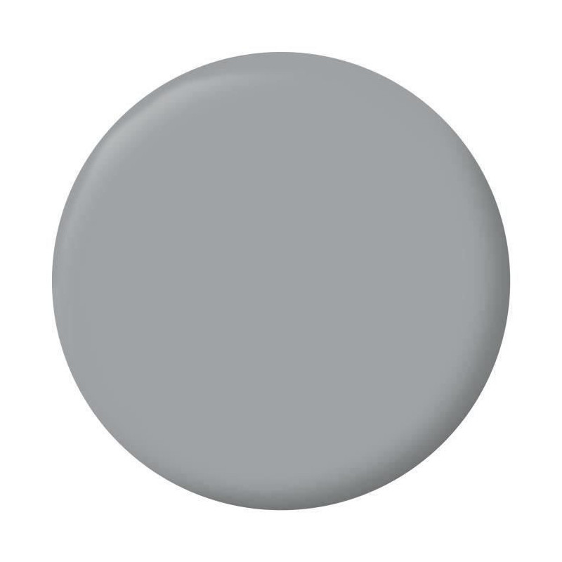 RIPOLIN Velvet Color Paint for Walls, Woodwork, Radiators - Pebble Gra