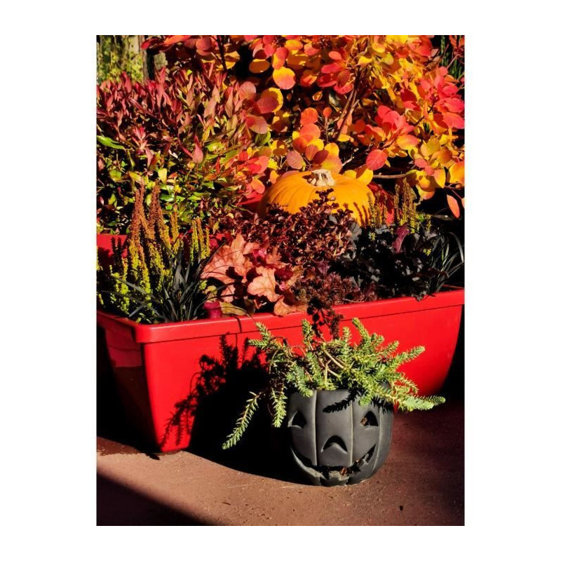 RIVIERA EVA flower box - Set of 2 planters - Plastic - 57 cm - Red