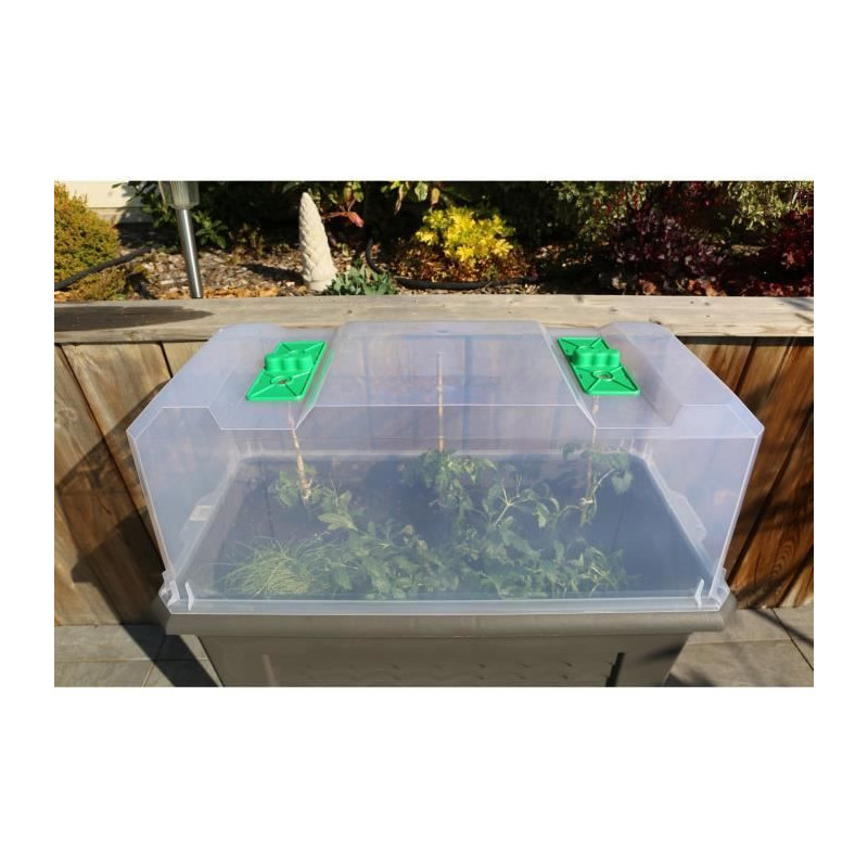 Riviera Iziserre 80 - Translucent cover