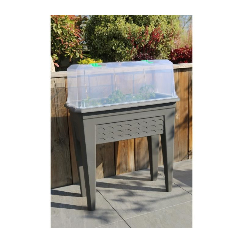 Riviera Iziserre 80 - Translucent cover