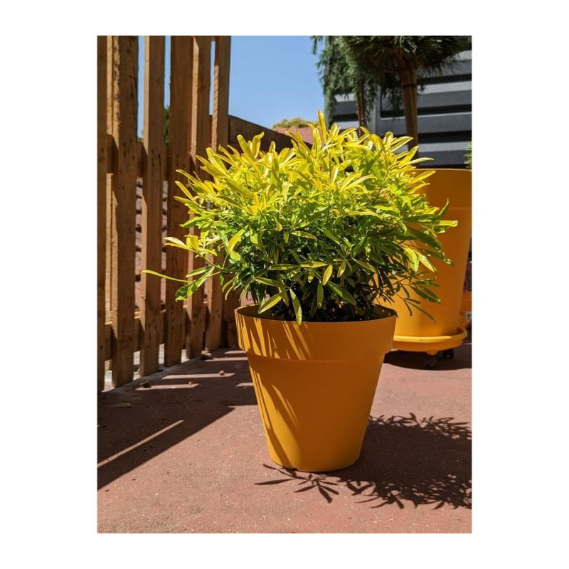 RIVIERA SOLEILLA round flower box - Plastic - Diameter 60 cm - Yellow
