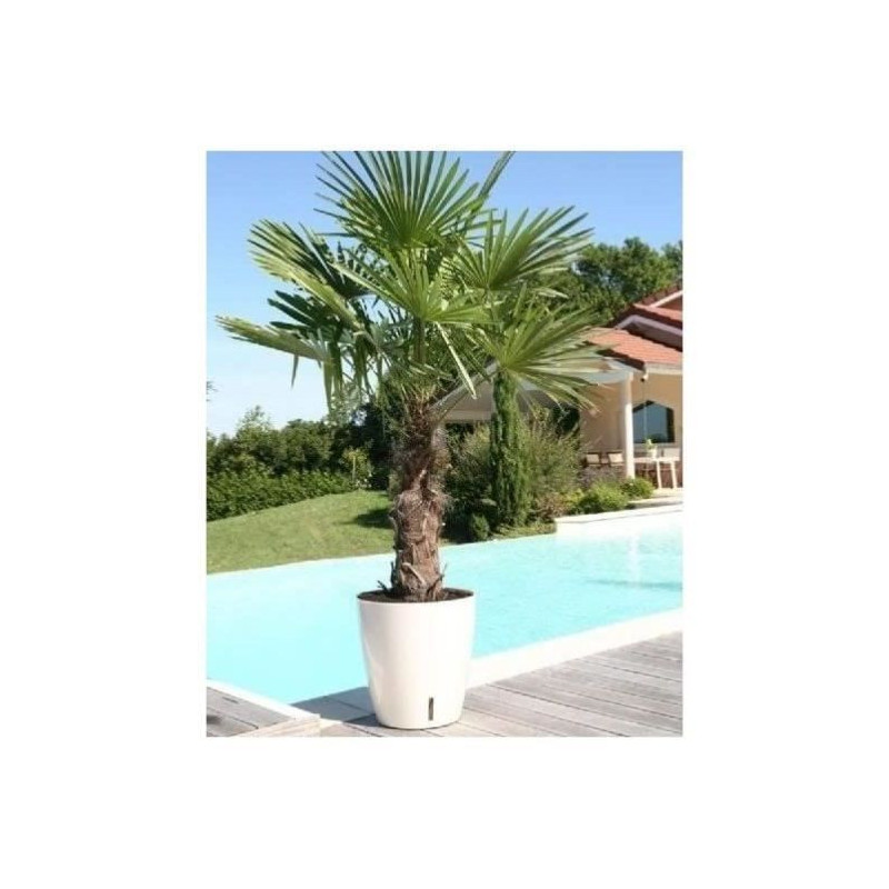 RIVIERA EVA NEW round flower box - Plastic - Diameter 36 cm - Blue