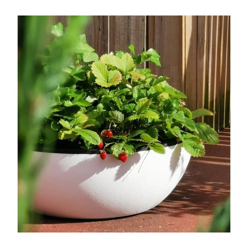 Riviera - Flower pot cut - Granite D40 - White