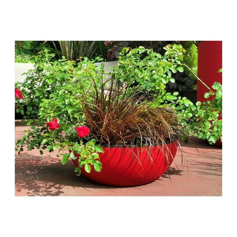 RIVIERA - Flower pot cut - Granite D40 - Red