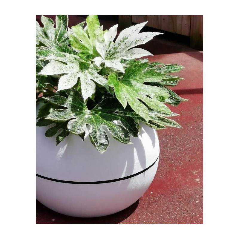 RIVIERA GRANIT BOULE round flower box - Plastic - Diameter 50 cm - Whi