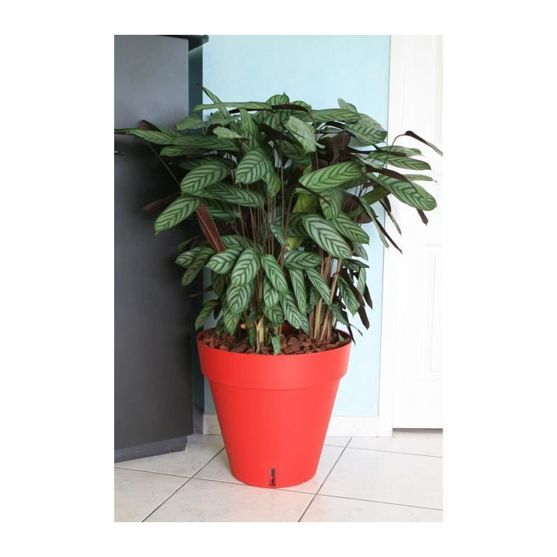 Riviera Loft flower pot with reserve of water - Round - Ø 50 x H 46 c