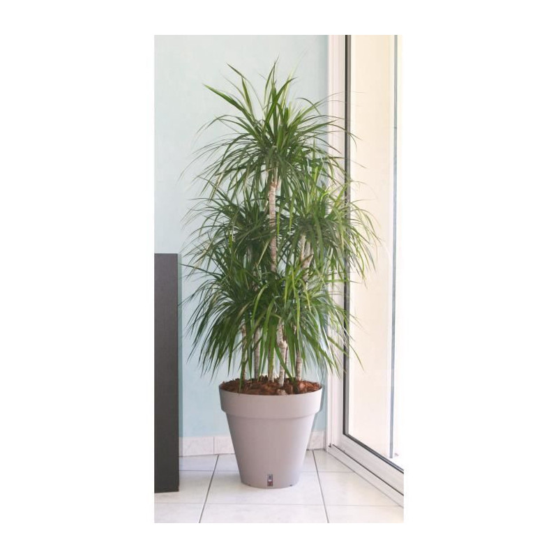 Riviera Loft flower pot with reserve of water - Round - Ø 50 x H 46 c