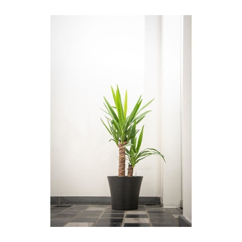 Flowerpot - GARDEN ID - Green Care Sense Black-Anthracite - 30 x 27 cm