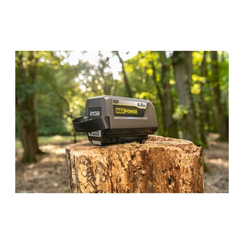 RYOBI - 1 lithium+ 36V MAXPOWER 6.0 Ah High Energy battery - individua
