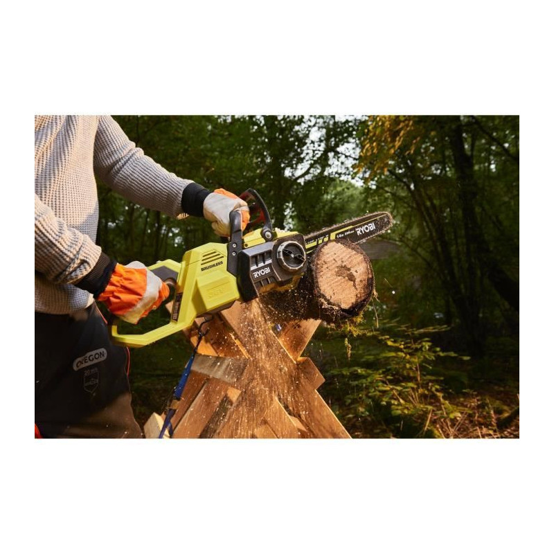 RYOBI - 1 lithium+ 36V MAXPOWER 6.0 Ah High Energy battery - individua