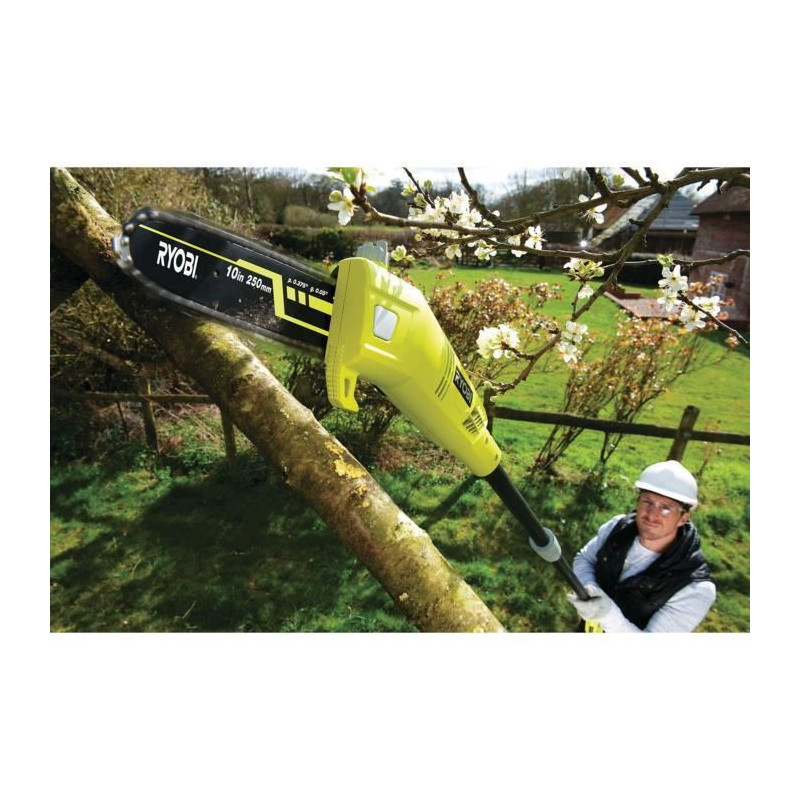 RYOBI Pole Eliminator 750W - 25 cm with extension