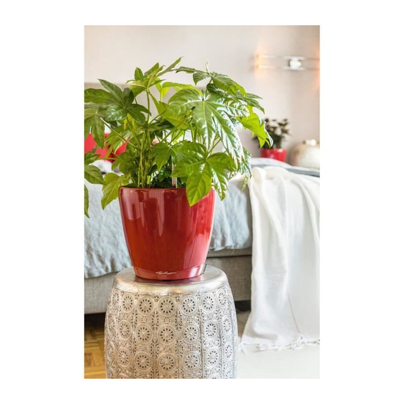 Jardiniere - Classico premium LS 21 - Complete kit - Brilliant scarlet