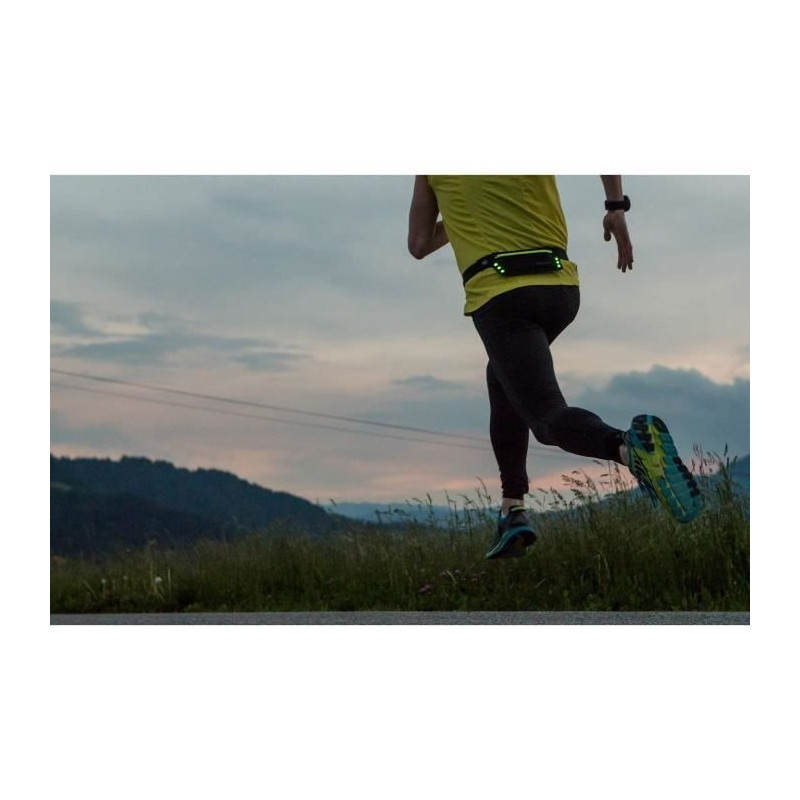 Running belt - SCHILDKRÖT - Wheel Bee Running Waistbag Night Runner L