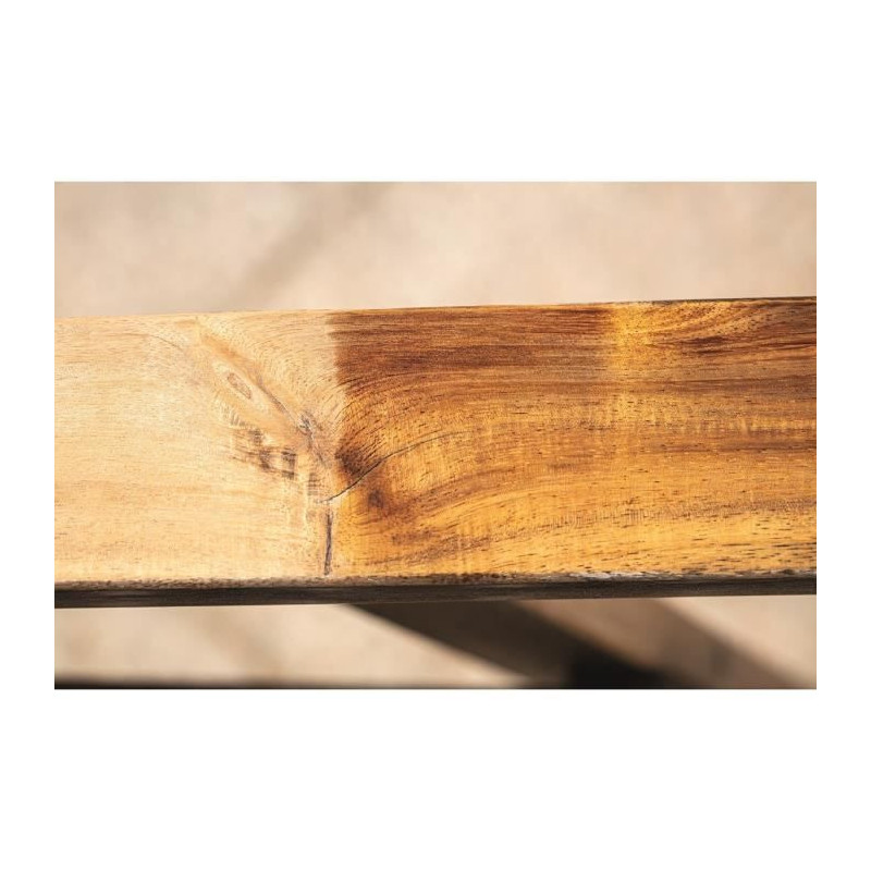 SCHEPPACH Synthetic fiber brush for renovator and surfacer MRS1300